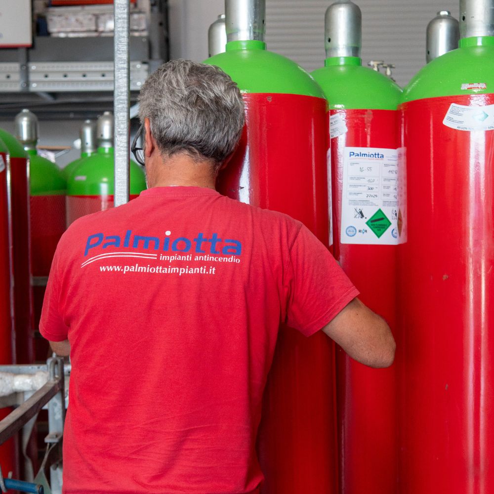 Collaboratore Palmiotta impianti